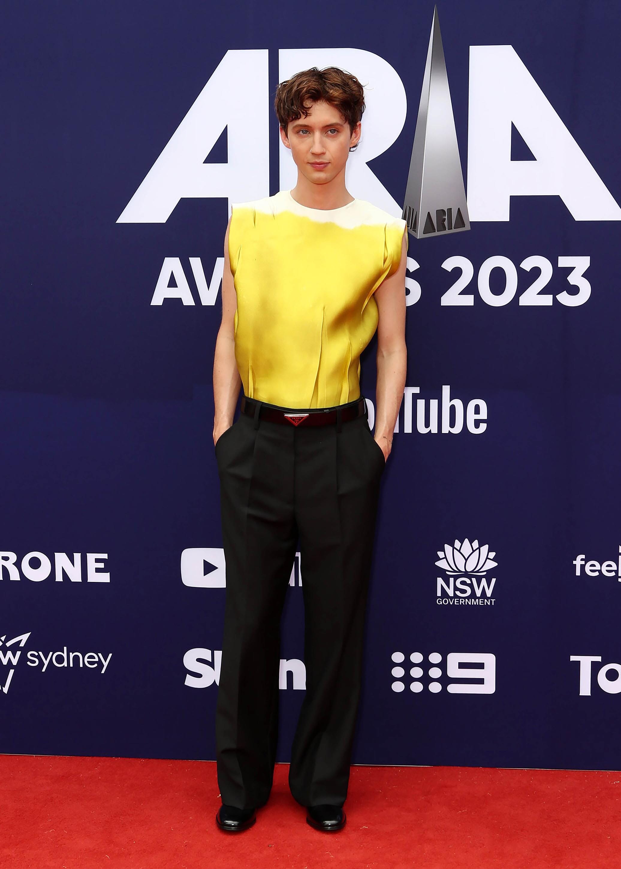 Pictured: Troye Sivan