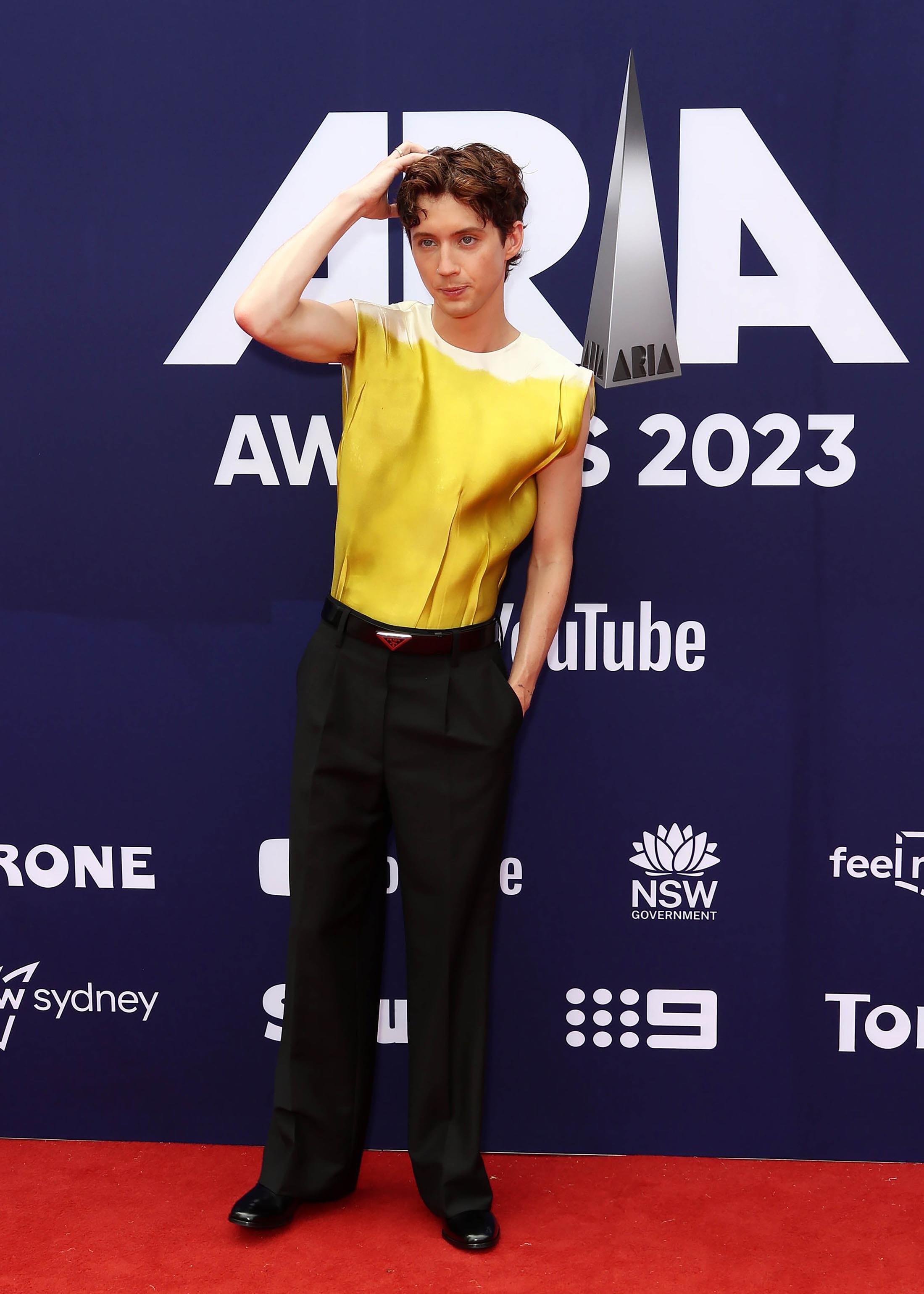 Pictured: Troye Sivan