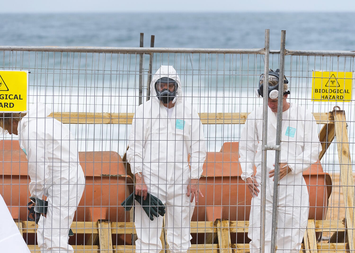Specialist emergency responders declare the beach a bio hazard