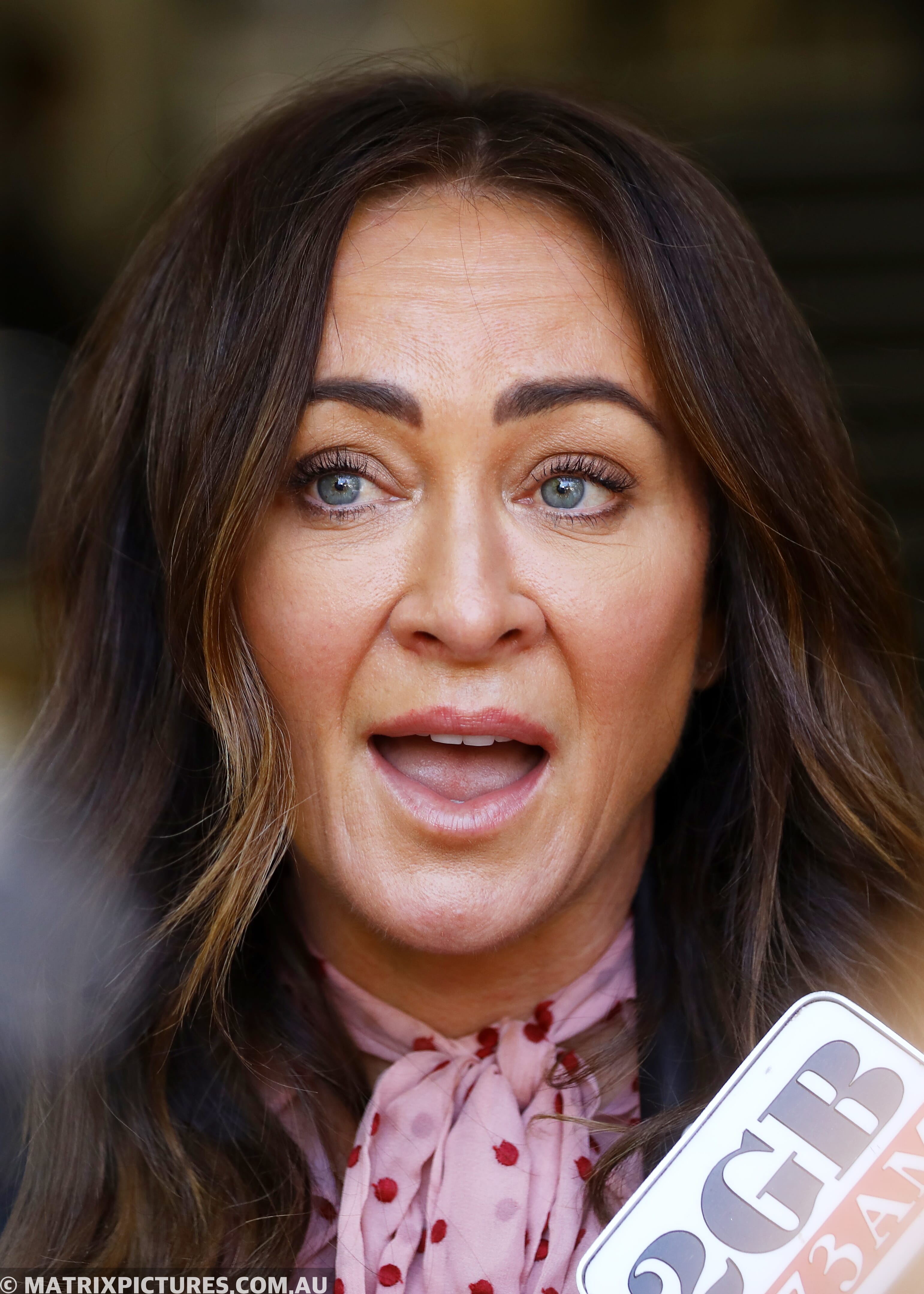 Michelle Bridges Leaves Court In Tears After Pleading Guilty To Drink 